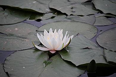 喜迎福利 任天堂免费送出《喷射战士2》DLC扩展包